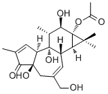 Phorbol 13-acetate32752-29-7