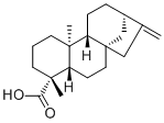 Kaurenoic acid6730-83-2