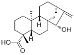 Grandifloric acid22338-69-8