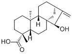 Deacetylxylopic acid6619-95-0