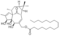 Ingenol 20-palmitate39071-33-5