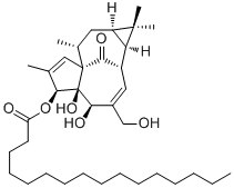 Ingenol 3-palmitate52557-26-3