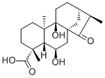 Pterisolic acid D1401419-88-2