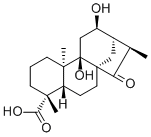 Pterisolic acid E1401419-89-3