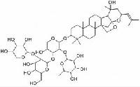 酸枣仁皂苷B1 CAS号：68144-21-8