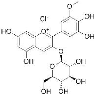 矮牵牛素-3-O-葡萄糖苷 CAS号：6988-81-4