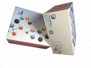 Sestrin 2蛋白检测试剂盒 产品图片