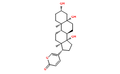 遠華蟾蜍精472-26-4