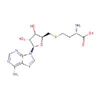 S-(5'-腺苷)-L-高半胱氨酸CAS号979-92-0；现货优势供应，可按需包装，郑州直发，质量保证欢迎咨询！