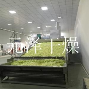 全套提供蜜饯专用带式干燥机 蜜饯带式烘干机价格