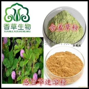 含羞草提取物12:1 感应草速溶粉 知羞草浸膏粉 水溶