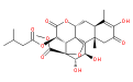 鴉膽子素A25514-31-2