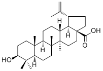 白樺脂酸472-15-1