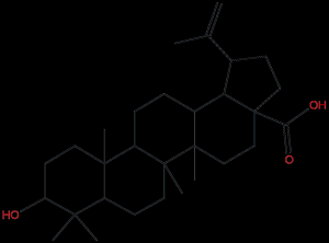 表白樺脂酸38736-77-5