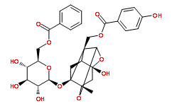 苯甲酰氧化芍藥苷72896-40-3