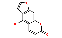 佛手酚486-60-2