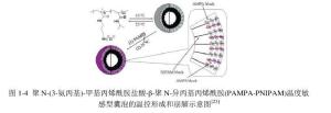 PAMPA-b-PNIPAM；PMEMA-b-PMPC；PS-b-PFS 聚苯乙-聚二茂硅烷品牌：齐岳生物西安-盖德化工网