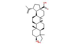 23-羥基白樺酸85999-40-2