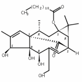 正十二烷酸巨大戟酯54706-70-6