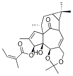 巨大戟醇 5,20-縮丙酮 3-當歸酸酯87980-68-5