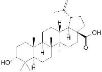 表白桦脂酸（3-表白桦脂酸）38736-77-5