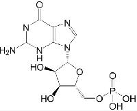鸟苷酸，鸟嘌呤核苷酸85-32-5