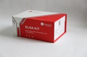 SEKCN-0161  鸡白介素6Elisa试剂盒 Chicken IL-6 Elisa kit