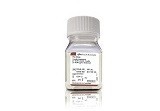 Penicillin-Streptomycin, Liquid