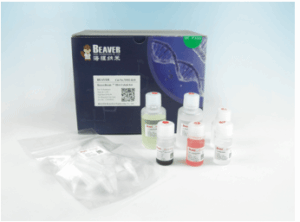 海狸Beaver 羧基磁珠 蛋白分离纯化 70104-50