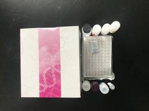 钙泵ELISA试剂盒产品图片