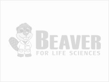海狸Beaver 吸头43153