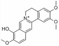 巴马亭红碱 CAS：16176-68-4