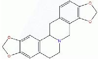 四氢黄连碱 CAS：7461-02-1供应
