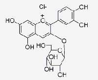 矢车菊素-3-O-葡萄糖苷 CAS：7084-24-4供应