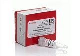 RNaseOUT™ Recombinant Ribonuclease Inhibitor