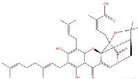 新藤黄酸；Gambogenic acid供应173932-75-7