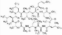 环孢菌素A品牌 CAS：59865-13-3