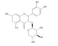 槲皮素-3-O-β-D-木糖甙 CAS：549-32-6品牌