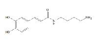 (E)-N-咖啡酰腐胺 3952-98-5 (E)-N-Caffeoylputrescine