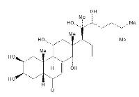 筋骨草甾酮C供应 CAS：23044-80-6