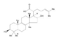 16α-Hydroxytrametenolic acid供应 CAS：176390-68-4