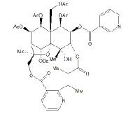 Hyponine E供应 CAS：226975-99-1