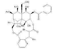 Hyponine D CAS：259823-31-9
