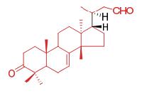 23-aldehyde-tirucall-7-ene-3-one标准品 135500-26-4