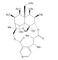 Peritassine A品牌 CAS：262601-67-2