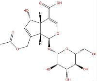 车叶草苷酸 CAS：25368-11-0品牌