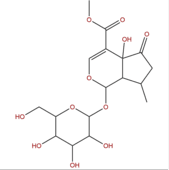 戟叶马鞭草苷 CAS：50816-24-5品牌