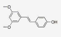 紫檀芪 CAS：537-42-8品牌
