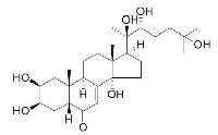 蜕皮激素 CAS：5289-74-7品牌