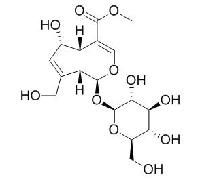 去乙酰车叶草酸甲酯 CAS：52613-28-2品牌